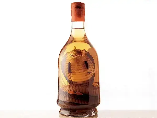 Vinho de Cobra